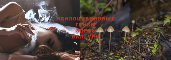 МДМА Богданович