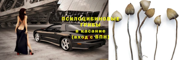 a pvp Богородицк