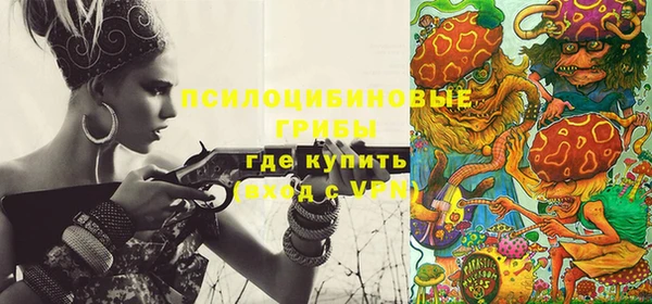 a pvp Богородицк