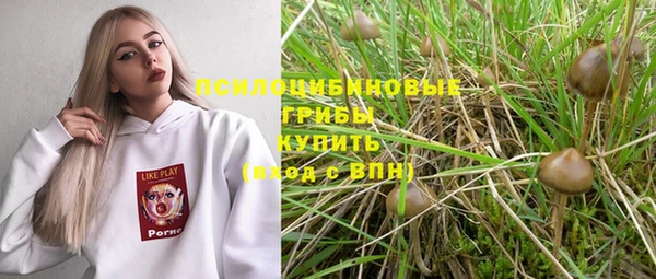 прущая мука Богородск